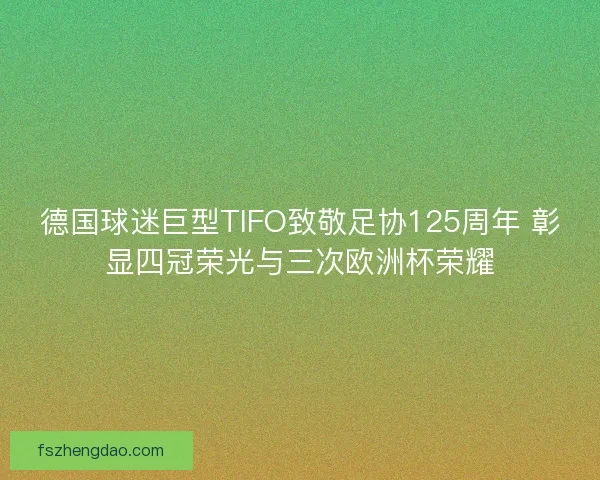 德国球迷巨型TIFO致敬足协125周年 彰显四冠荣光与三次欧洲杯荣耀 德国球迷巨型TIFO致敬足协125周年 彰显四冠荣光与三次欧洲杯荣耀