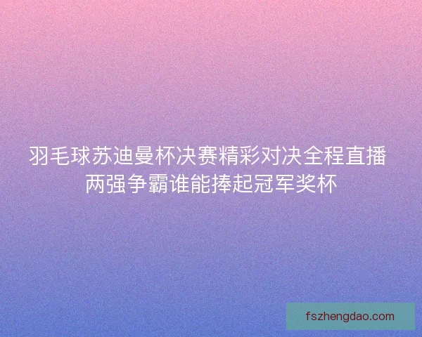 羽毛球苏迪曼杯决赛精彩对决全程直播 两强争霸谁能捧起冠军奖杯