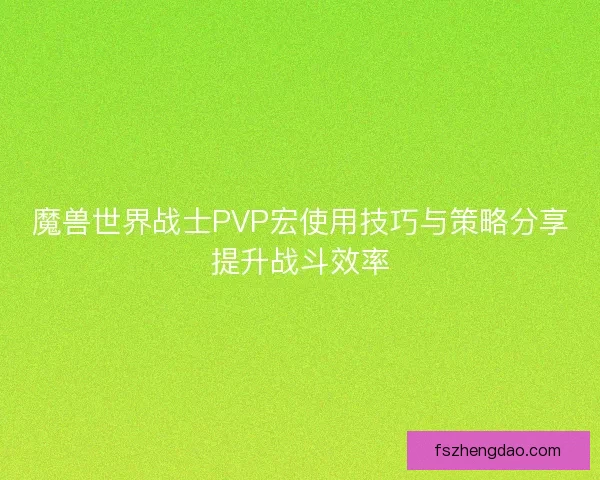魔兽世界战士PVP宏使用技巧与策略分享提升战斗效率