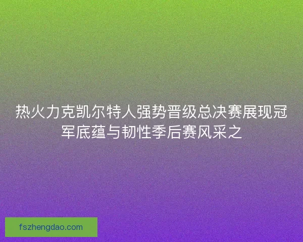热火力克凯尔特人强势晋级总决赛展现冠军底蕴与韧性季后赛风采之