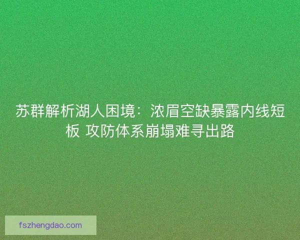苏群解析湖人困境：浓眉空缺暴露内线短板 攻防体系崩塌难寻出路