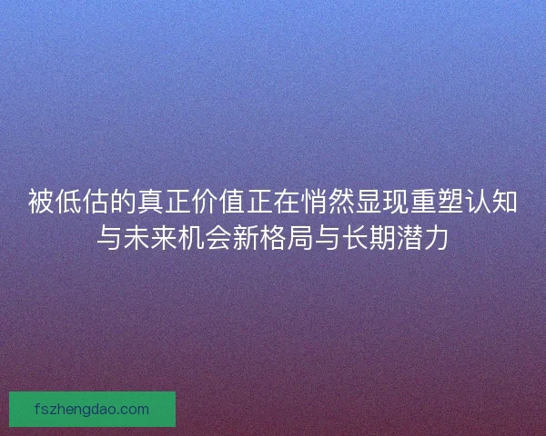 被低估的真正价值正在悄然显现重塑认知与未来机会新格局与长期潜力