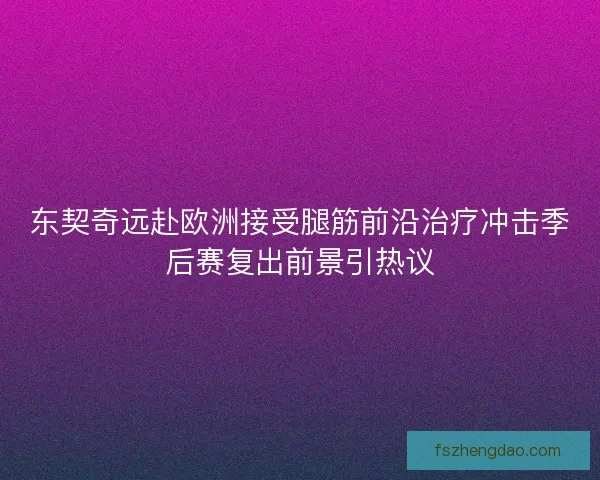 东契奇远赴欧洲接受腿筋前沿治疗冲击季后赛复出前景引热议