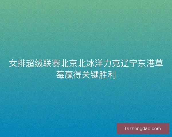 女排超级联赛北京北冰洋力克辽宁东港草莓赢得关键胜利