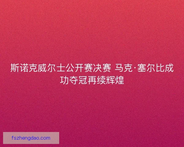 斯诺克威尔士公开赛决赛 马克·塞尔比成功夺冠再续辉煌