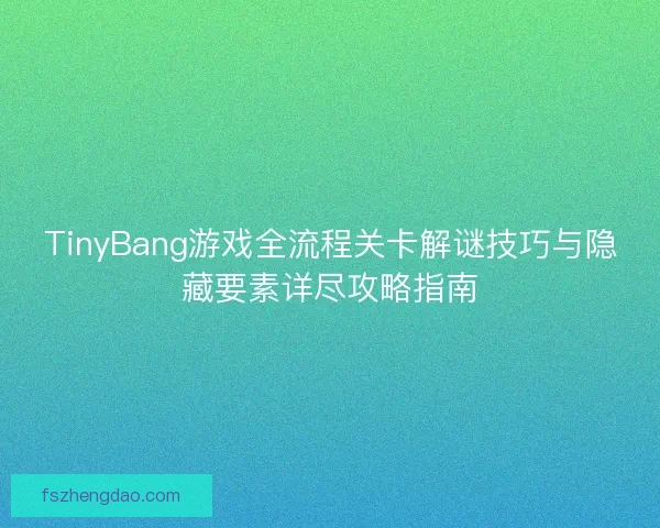 TinyBang游戏全流程关卡解谜技巧与隐藏要素详尽攻略指南